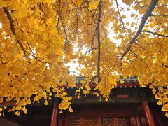 -承恩寺