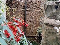 -上海蔡元培故居陈列馆