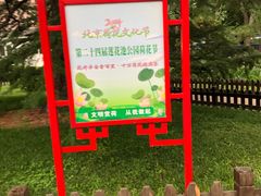 -莲花池公园