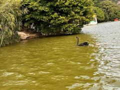 -珠海圆明新园