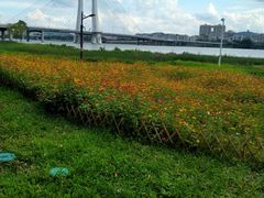 -东江厨岸（惠州味道）(江畔花园店)
