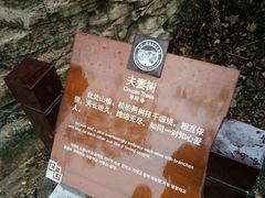 -青州市云门山风景区