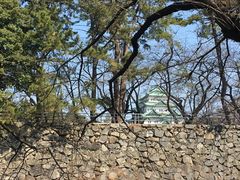 -名古屋城