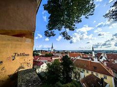 -塔林历史中心