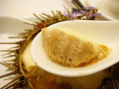 海胆蒸蛋-璞御·海鲜·雪花牛肉局(宾水西道店)