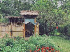 -桤木河湿地公园