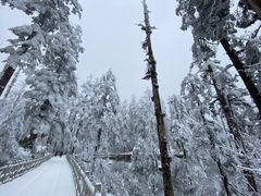 -瓦屋山景区