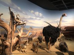 -陕西自然博物馆