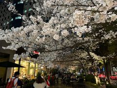 -玛格萝妮比萨屋(四平店)