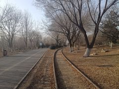 -永定河休闲森林公园