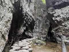 -牛背梁国家森林公园