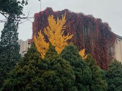 -辽宁大学(崇山校区)