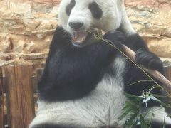 -石家庄市动物园