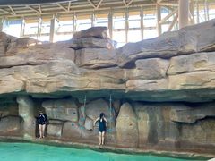 -杭州开元森泊度假乐园