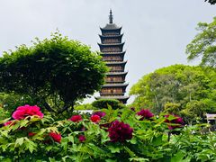 -常熟方塔园