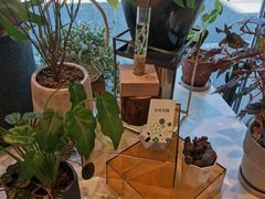 -dotcom coffee古点咖啡(致真大厦店)