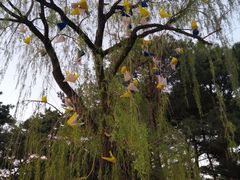 -长春市南湖公园