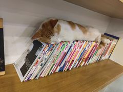 -正南齐北·老街糯米团(洪崖洞店)