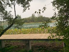 -东湖落雁景区