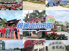 -观澜山水田园