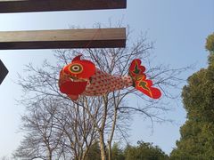-合肥野生动物园