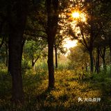 东湖日记 | 2021.09.14 | 晴