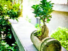 -亦缘居私家别院
