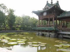 -迎泽公园