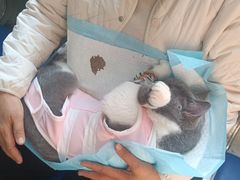 -酷宠动物医院(天通西苑店)