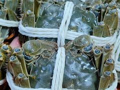 -阳澄湖大闸蟹·琼灵阁牌品牌连锁(吴中总店)