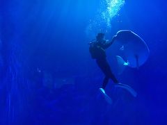 -多彩贵州城极地海洋世界