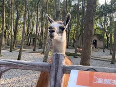 -昆山城市生态森林公园