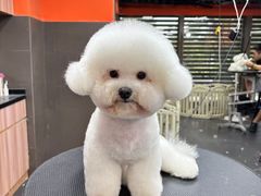 -宠宠熊宠物美容(星湖街店)