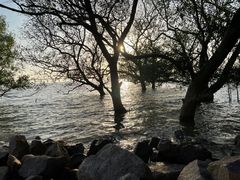 -宝安西湾红树林湿地公园