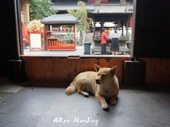 -灵谷景区