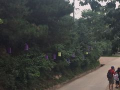 -云峰山自然风景区