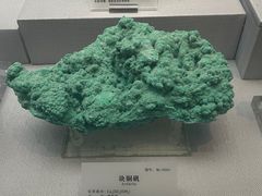 -湖南省地质博物馆