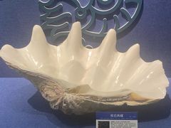 -大连自然博物馆