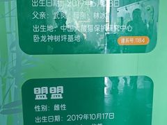 -武汉动物园