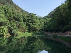 -桃花岭景区