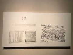 -嘉定博物馆