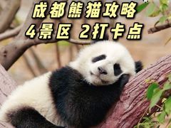-成都大熊猫繁育研究基地