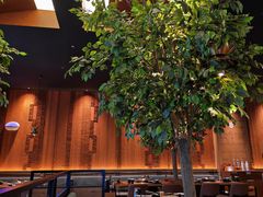 -同仁四季椰子鸡(福田车公庙店)