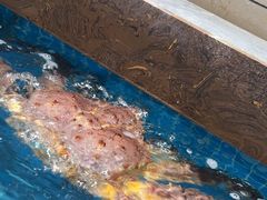 -良师门滨海人家·海鲜·家常菜(滨海城店)