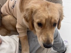 -怪兽屋·羊驼·猫咖·狗咖(俊华广场店)