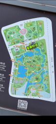 -BabyA 专业婴童摄影(古北时尚广场店)