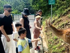 -大连森林动物园