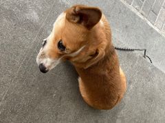 -默玉火锅(新世纪购物中心店)