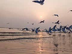 -老虎石海上公园