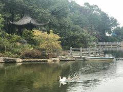 -广州市帽峰山景区